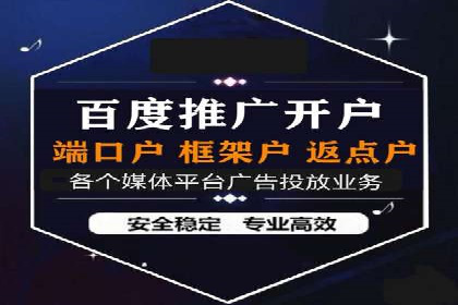 百度竞价与搜索引擎优化（SEO）结合的经典案例